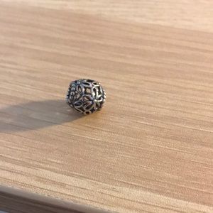 Pandora Charm